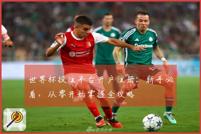 世界杯投注平台开户注册：新手必看，从零开始掌握全攻略