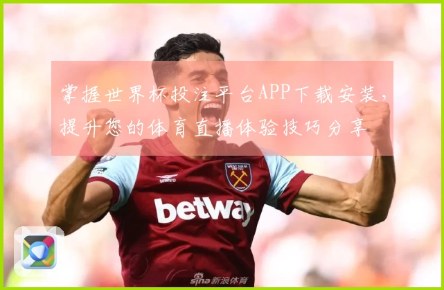 掌握世界杯投注平台APP下载安装，提升您的体育直播体验技巧分享