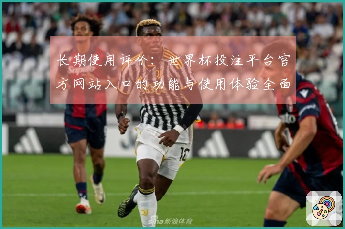 长期使用评价：世界杯投注平台官方网站入口的功能与使用体验全面解析