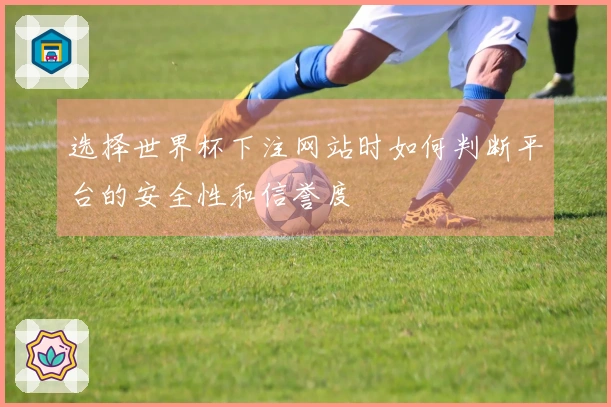 选择世界杯下注网站时如何判断平台的安全性和信誉度