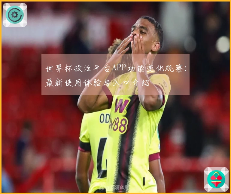 世界杯投注平台APP功能变化观察：最新使用体验与入口介绍