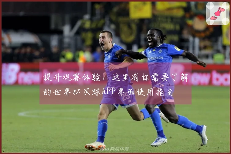提升观赛体验，这里有你需要了解的世界杯买球APP界面使用指南