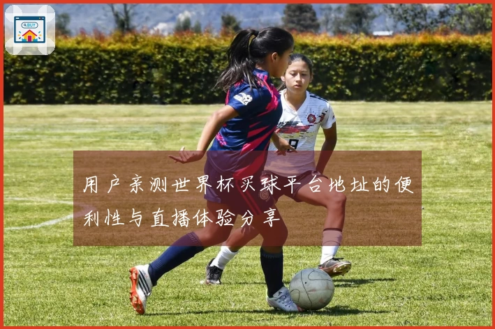 用户亲测世界杯买球平台地址的便利性与直播体验分享