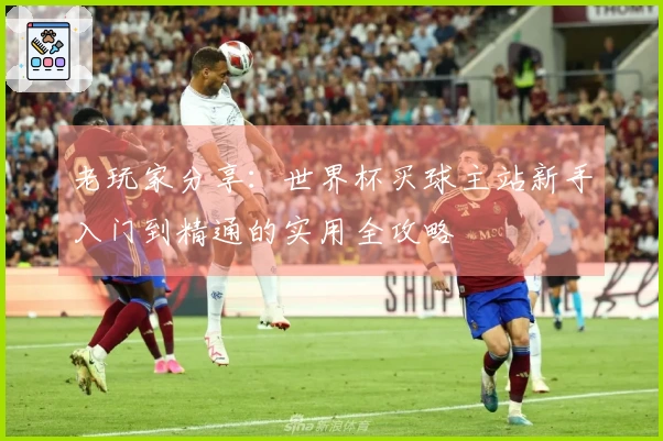 老玩家分享：世界杯买球主站新手入门到精通的实用全攻略