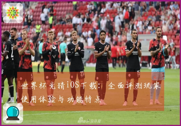 世界杯竞猜iOS下载：全面评测玩家使用体验与功能特点