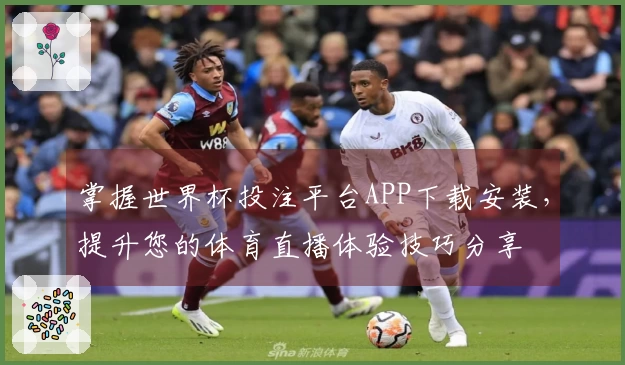掌握世界杯投注平台APP下载安装,提升您的体育直播体验技巧分享