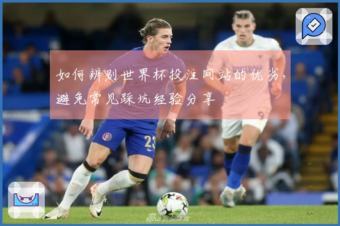 如何辨别世界杯投注网站的优劣，避免常见踩坑经验分享