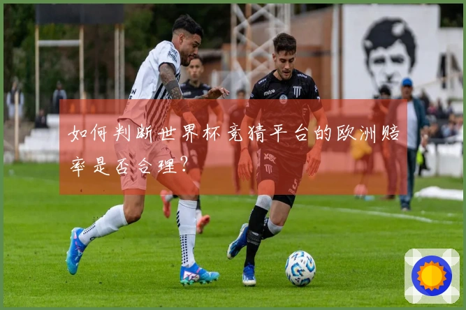 如何判断世界杯竞猜平台的欧洲赔率是否合理？