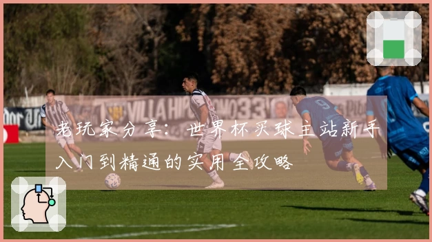 老玩家分享：世界杯买球主站新手入门到精通的实用全攻略
